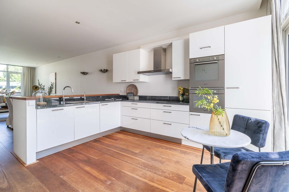 Koninginnelaan 106 Photo Blur 4