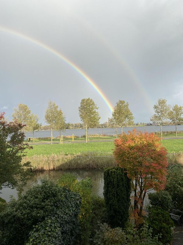 Berlageplan 71 Photo Blur 17