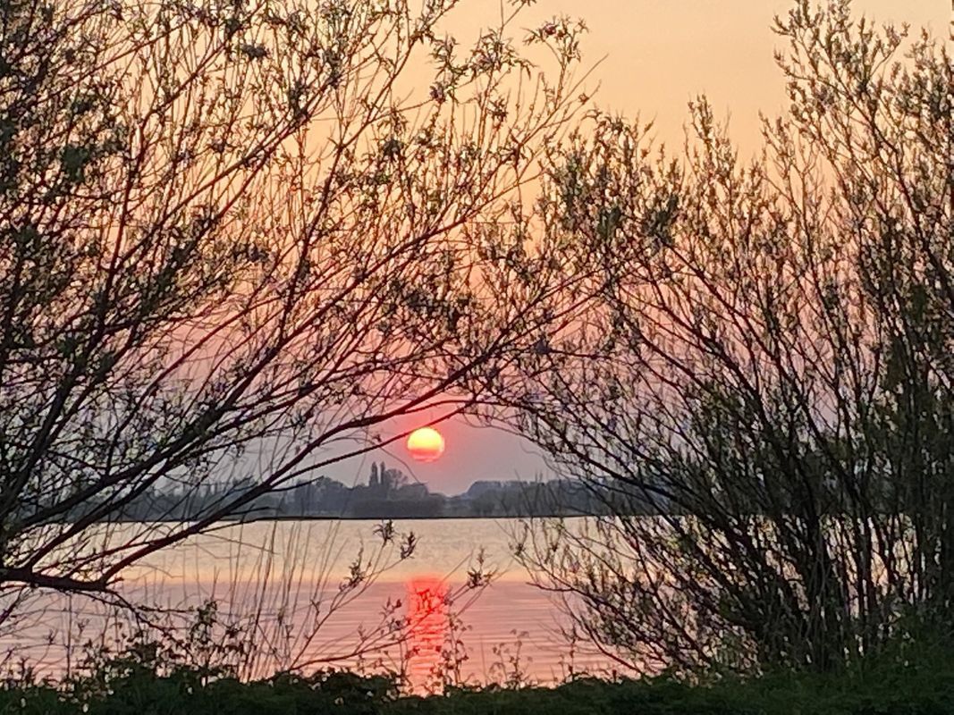 Berlageplan 71 Photo Blur 22