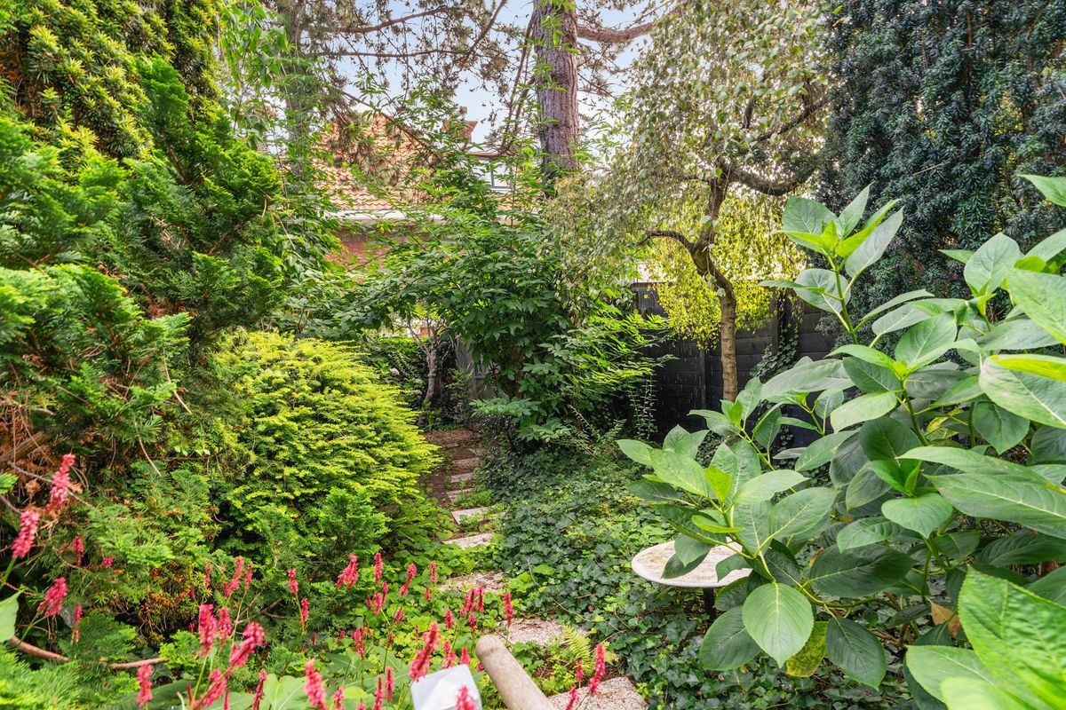 Fuutlaan 35 Photo Blur 8