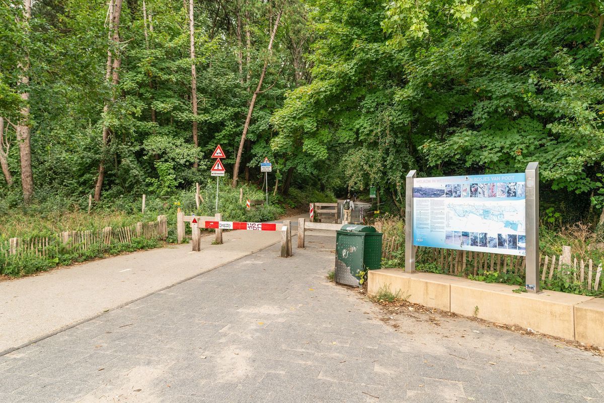 Fuutlaan 35 Photo Blur 32