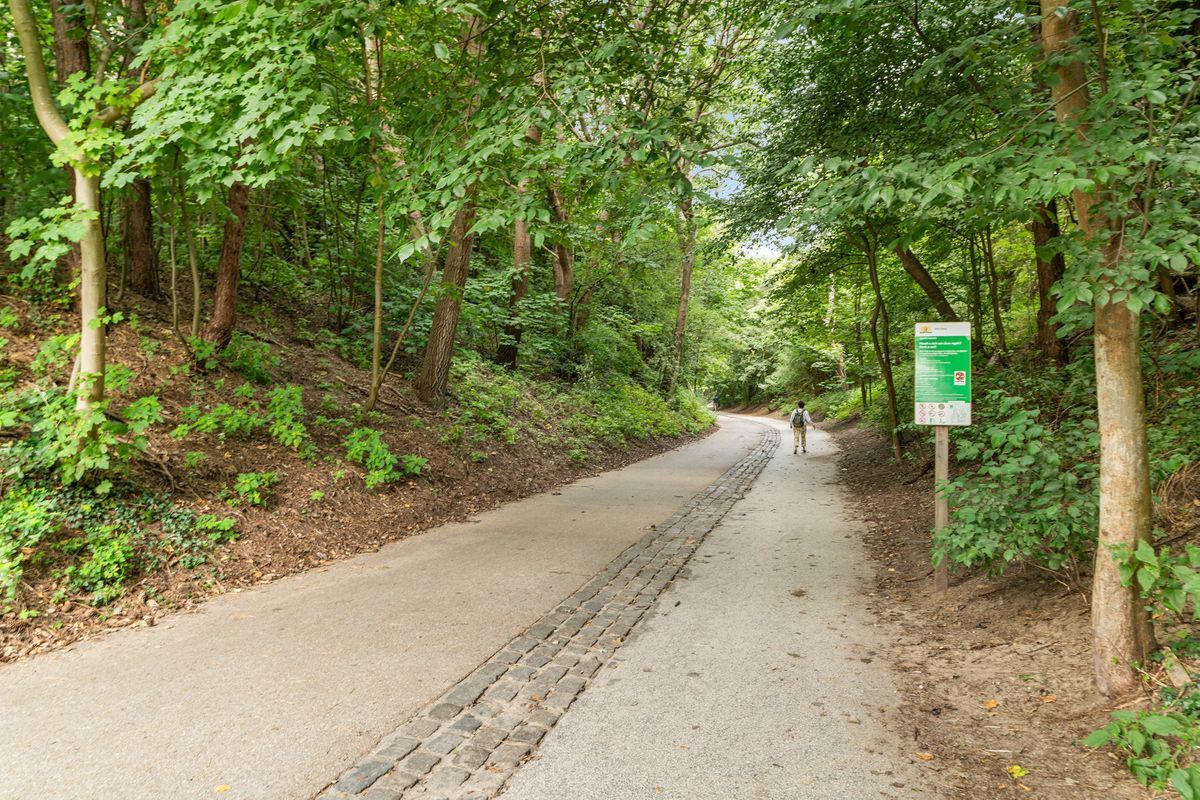 Fuutlaan 35 Photo Blur 33