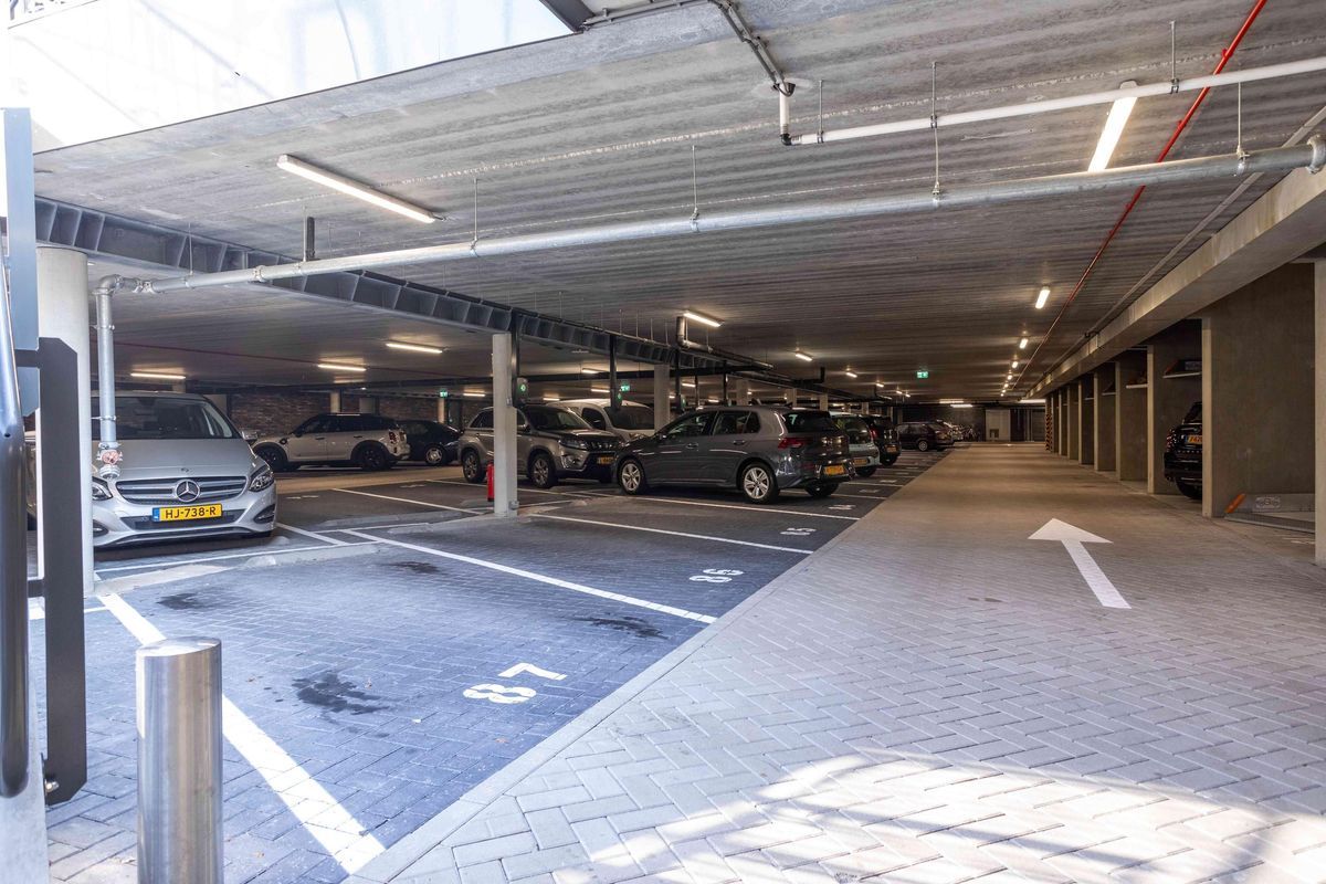 Zodiakplein 73 Photo Blur 32