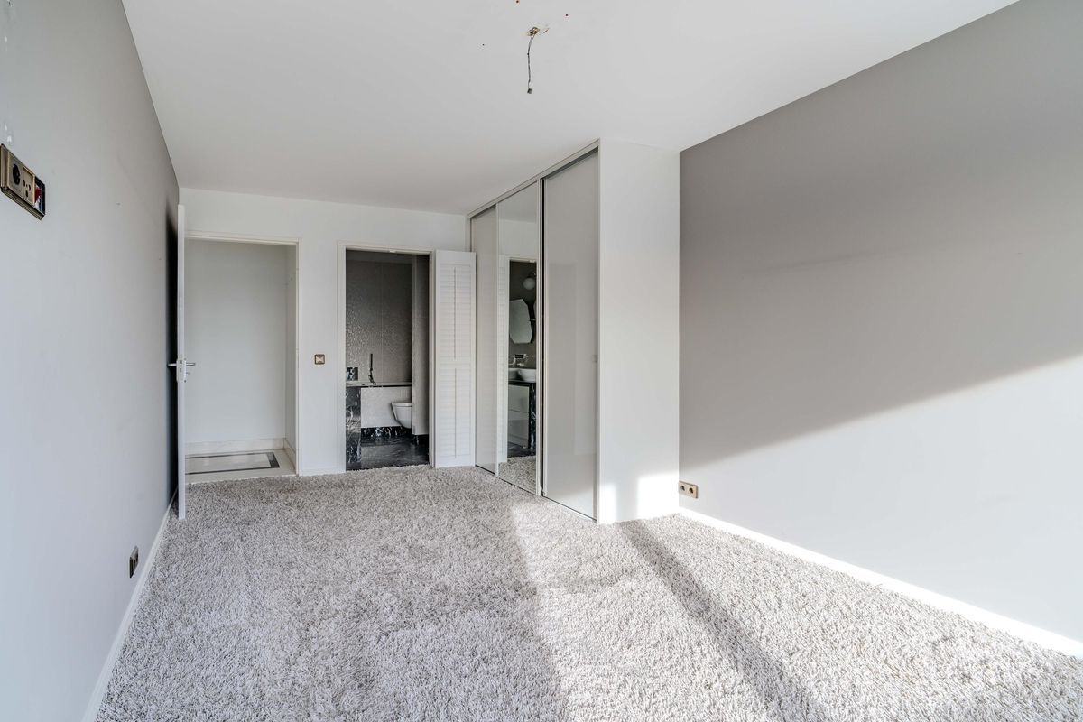 Zeekant 37-K Photo Blur 17