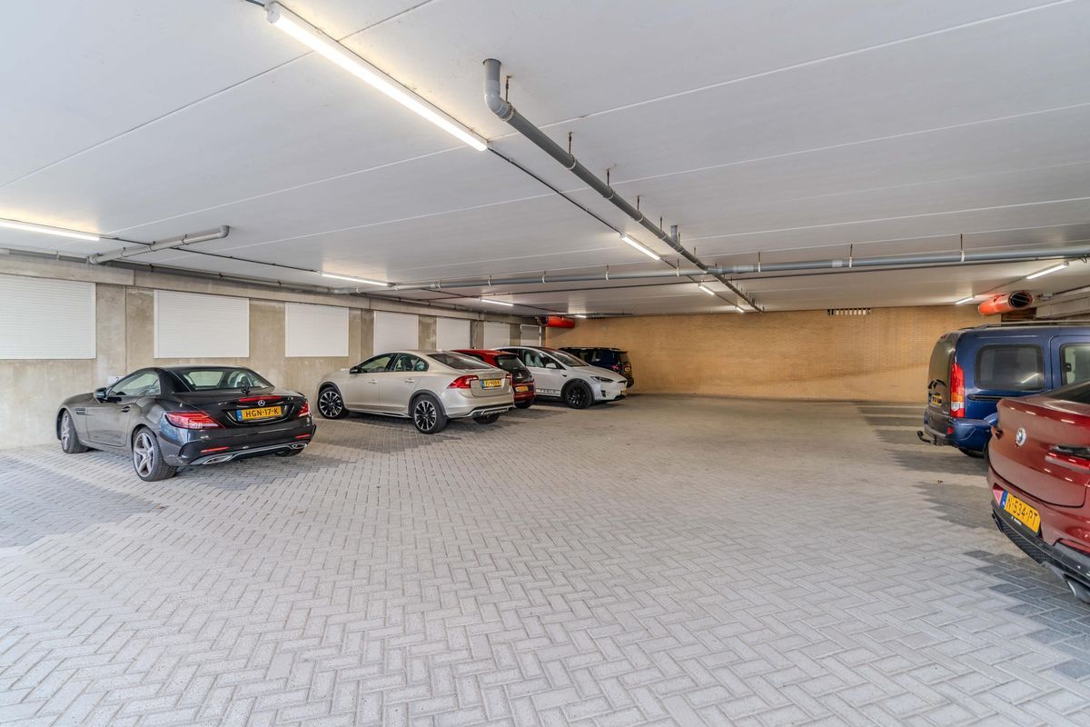 Zeekant 37-K Photo Blur 18