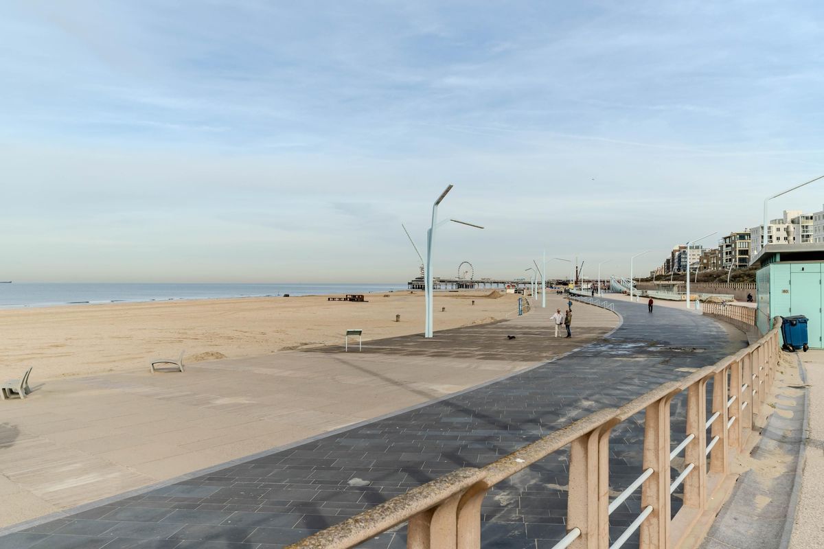 Zeekant 37-K Photo Blur 19