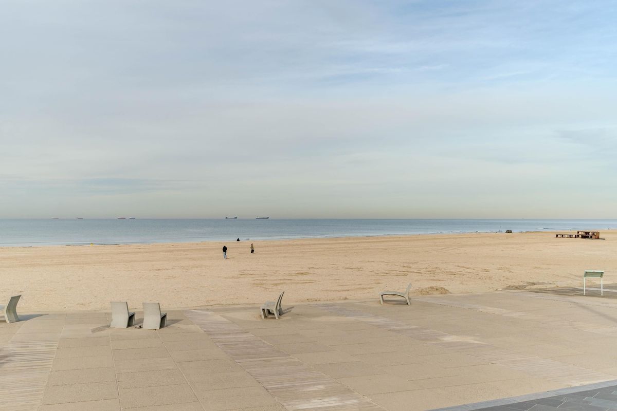 Zeekant 37-K Photo Blur 20