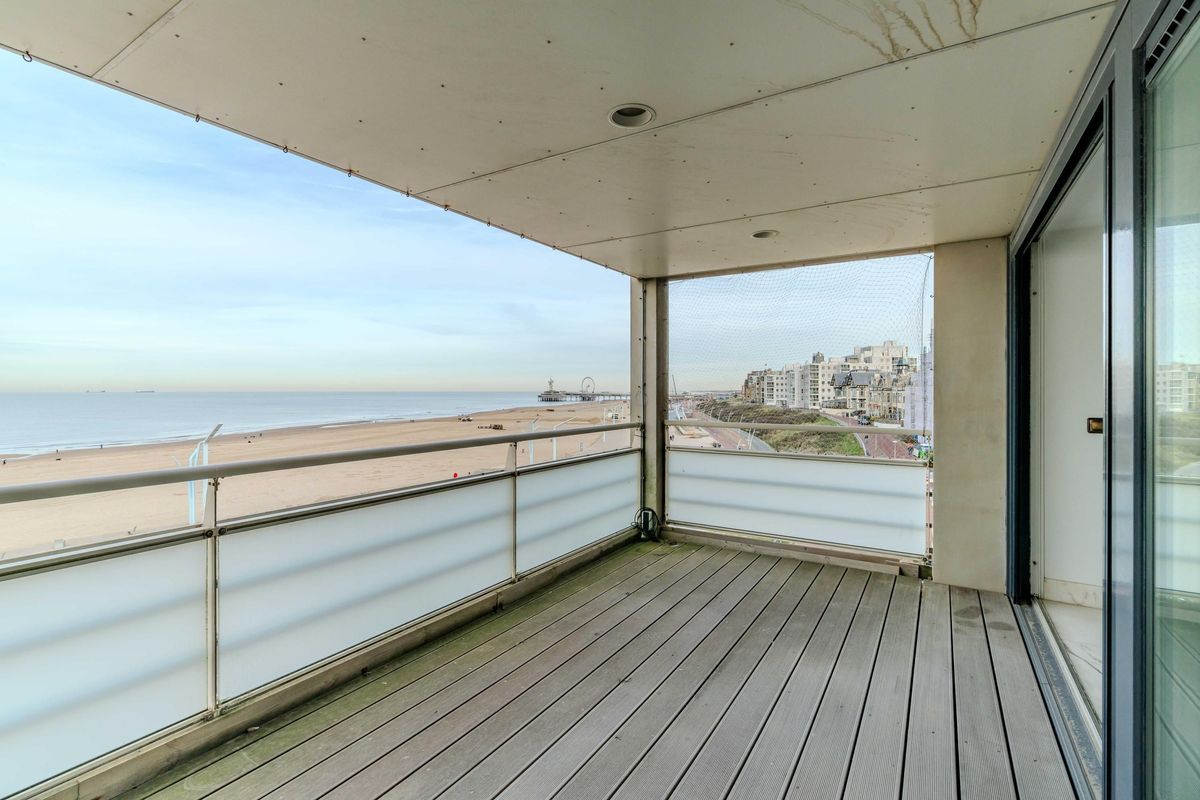 Zeekant 37-K Photo Blur 4