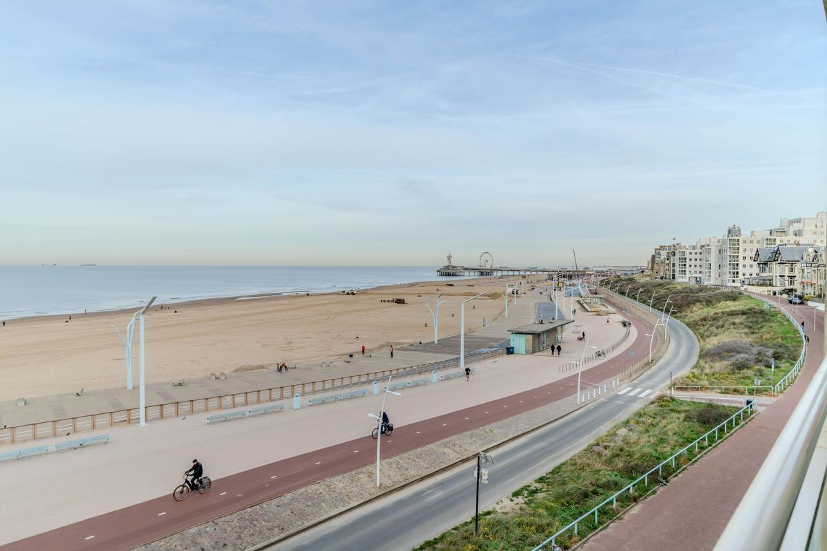 Zeekant 37-K Photo Blur 3