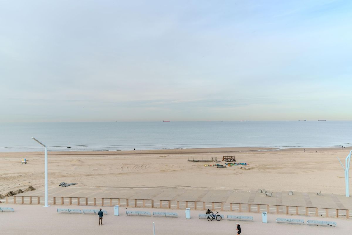 Zeekant 37-K Photo Blur 2