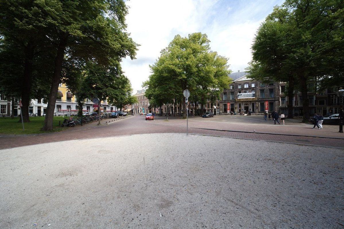 Vos in tuinstraat 2-A Photo Blur 16