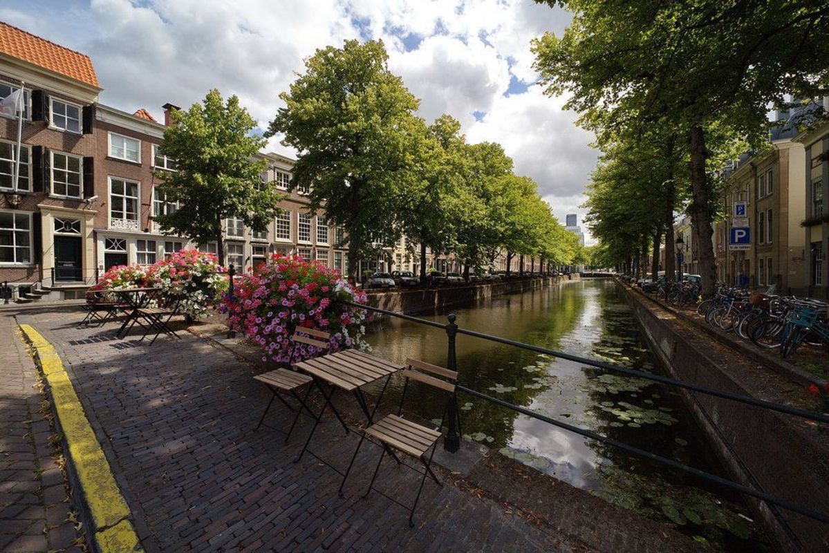 Vos in tuinstraat 2-A Photo Blur 17