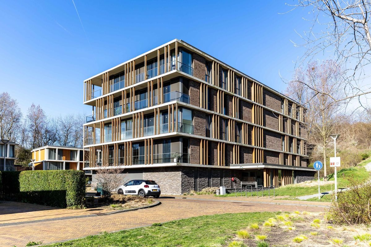 Duinvallei 60 Photo Blur 19