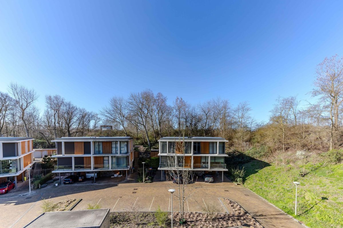 Duinvallei 60 Photo Blur 10