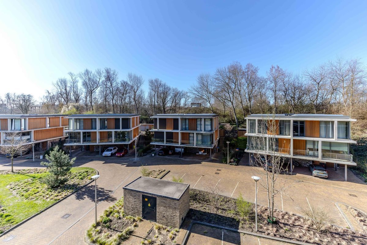 Duinvallei 60 Photo Blur 22