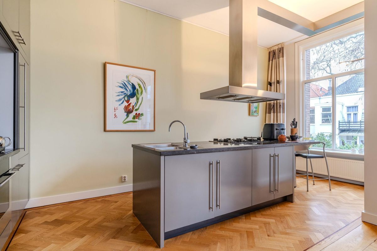 Anna Paulownastraat 89 Photo Blur 8