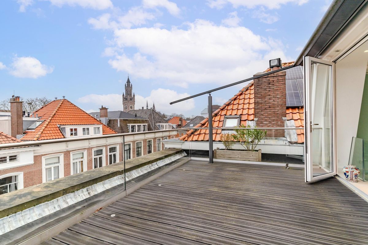 Anna Paulownastraat 89 Photo Blur 16