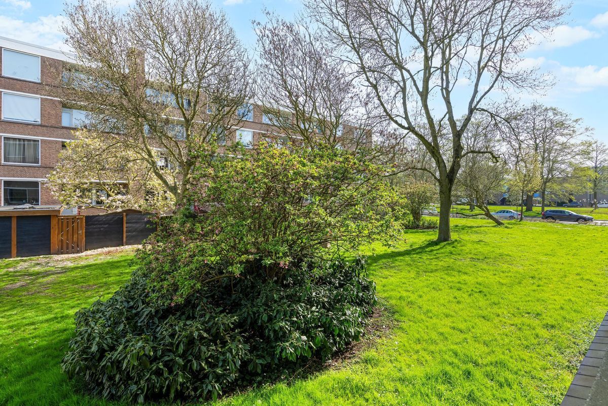 Prinses Irenelaan 232 Photo Blur 7