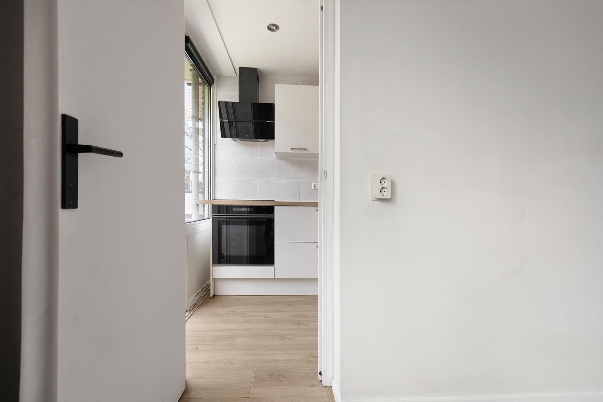 Prinses Irenelaan 232 Photo Blur 8