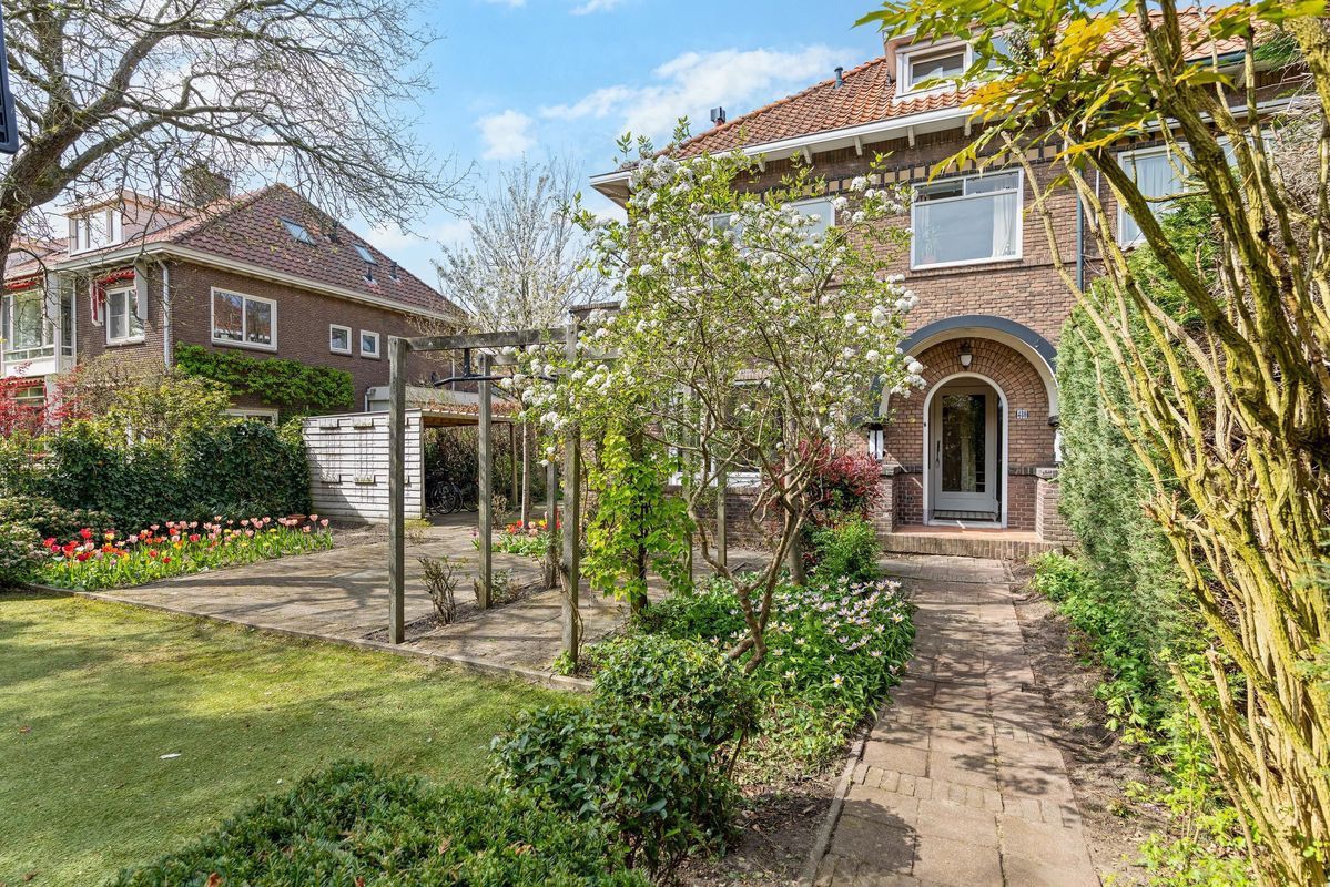 Bezuidenhoutseweg 480 Photo Blur 0