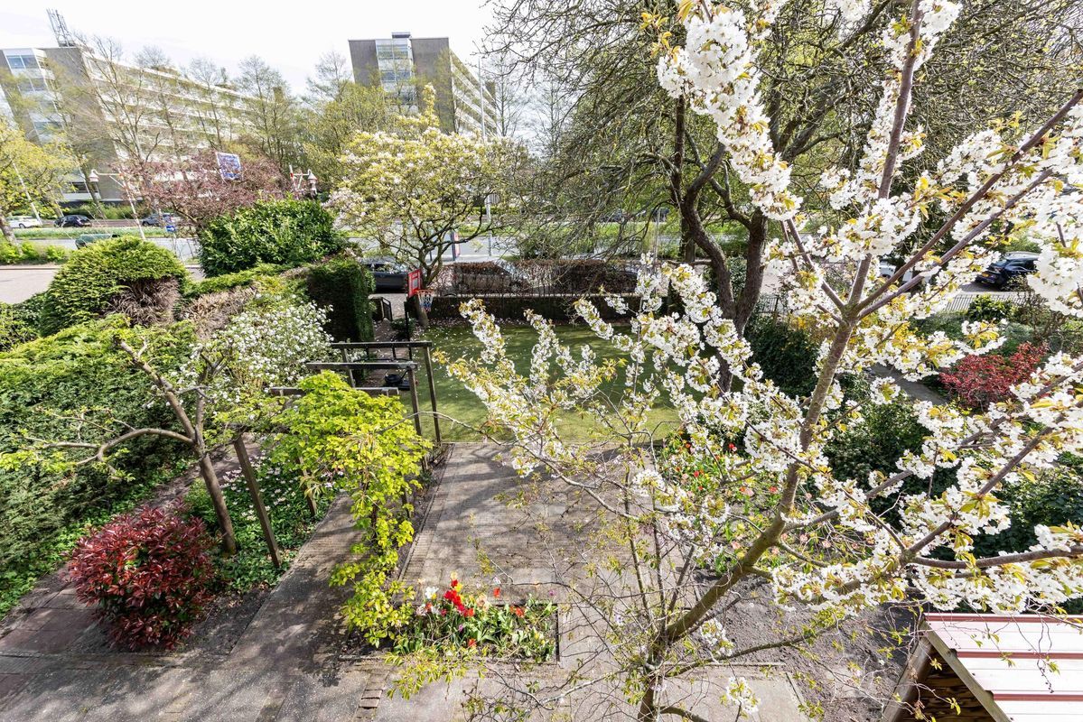 Bezuidenhoutseweg 480 Photo Blur 12