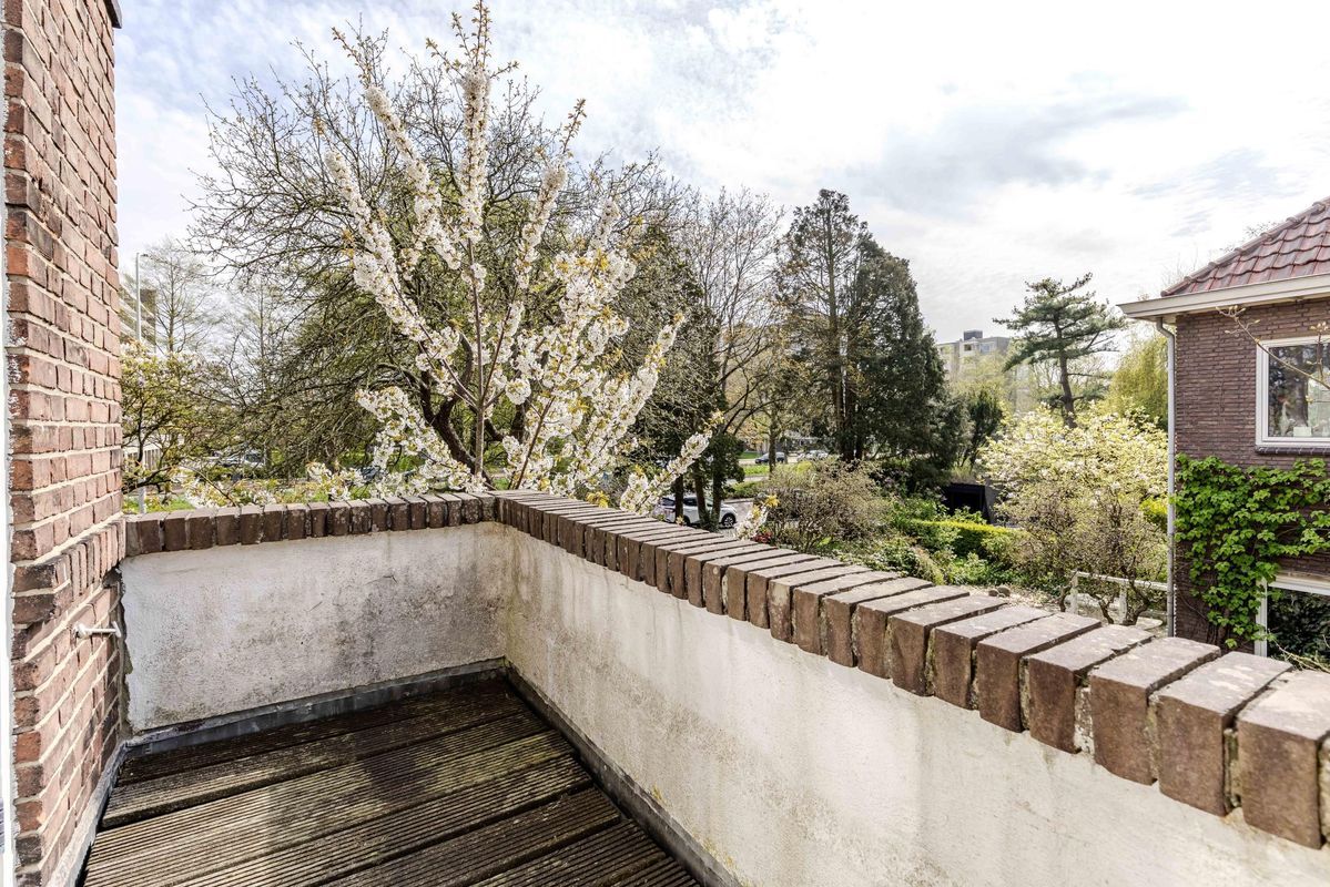 Bezuidenhoutseweg 480 Photo Blur 11