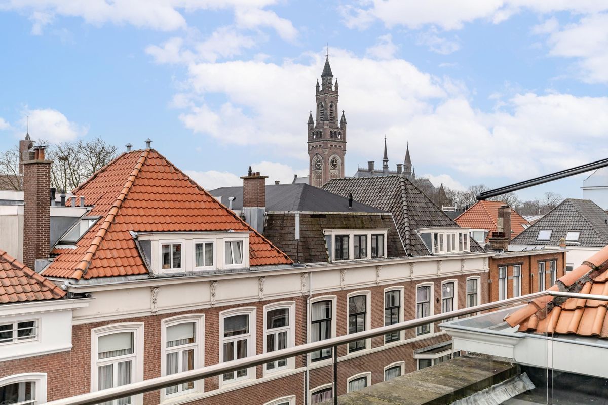 Anna Paulownastraat 89 Photo Blur 34