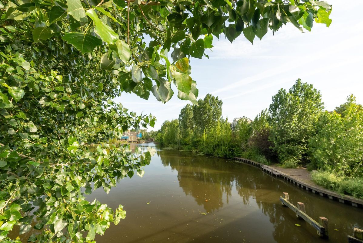 Suezkade 174 Photo Blur 42