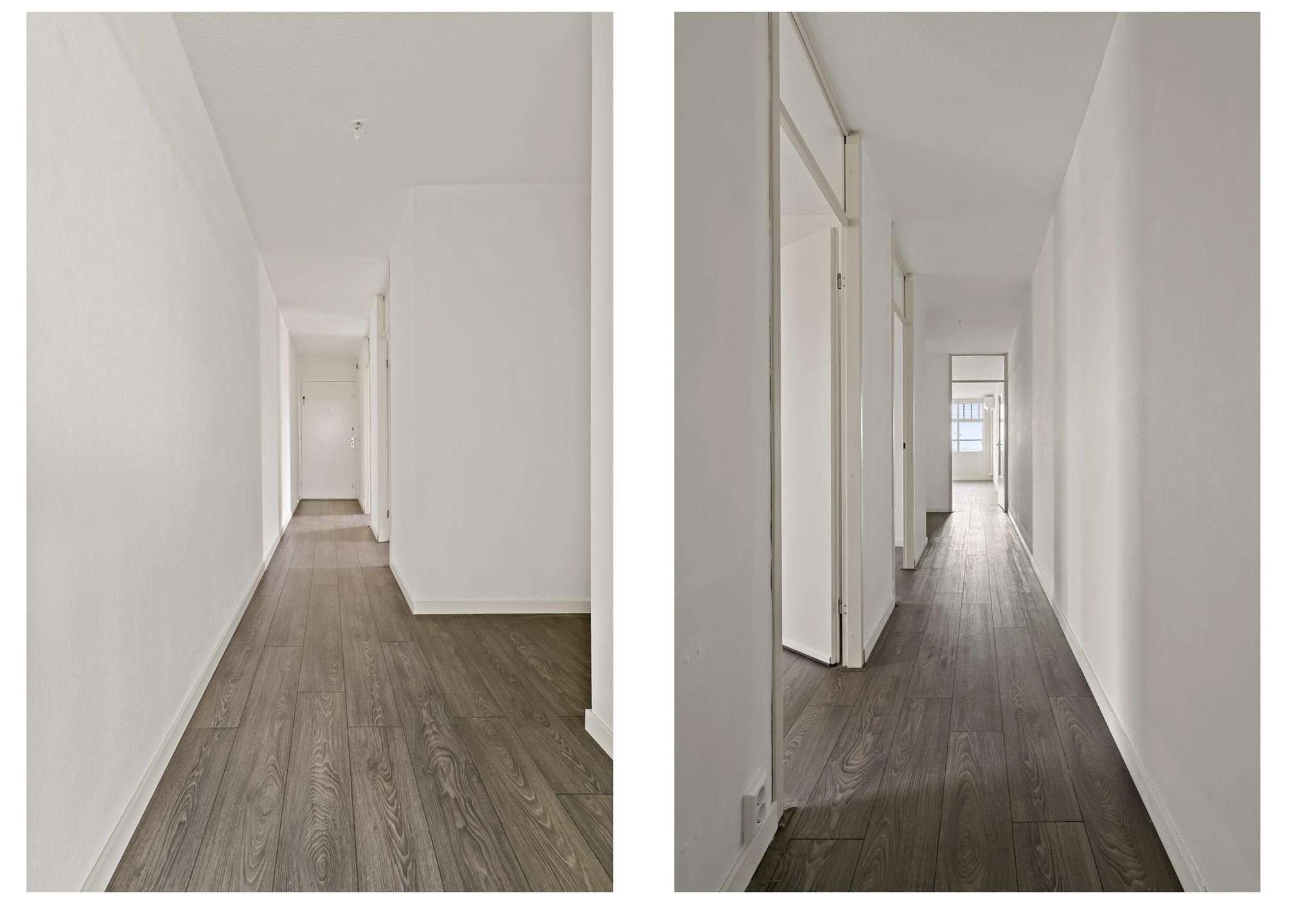 Zeekant 104-A Photo Blur 14