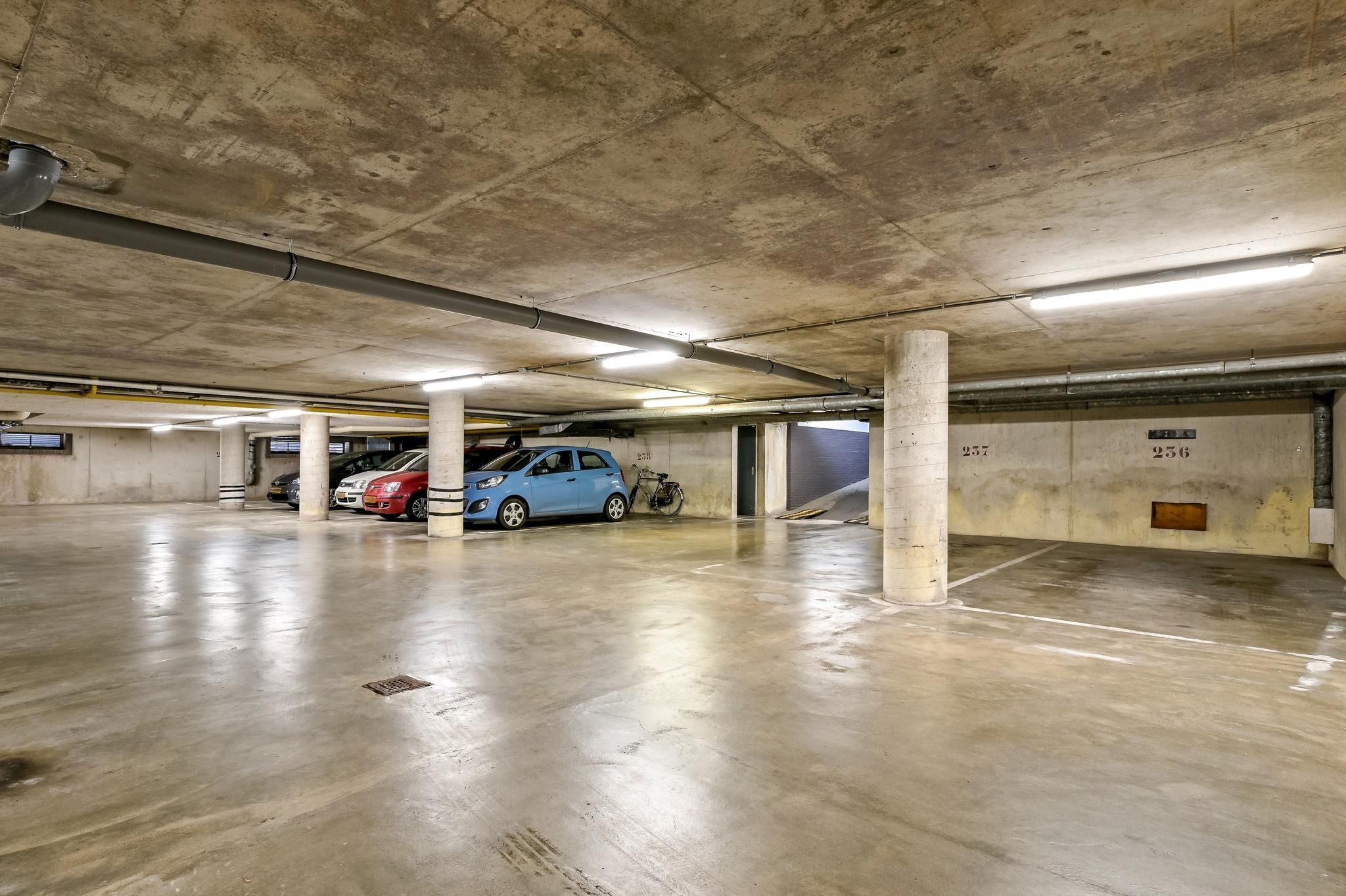 Zeekant 104-A Photo Blur 17