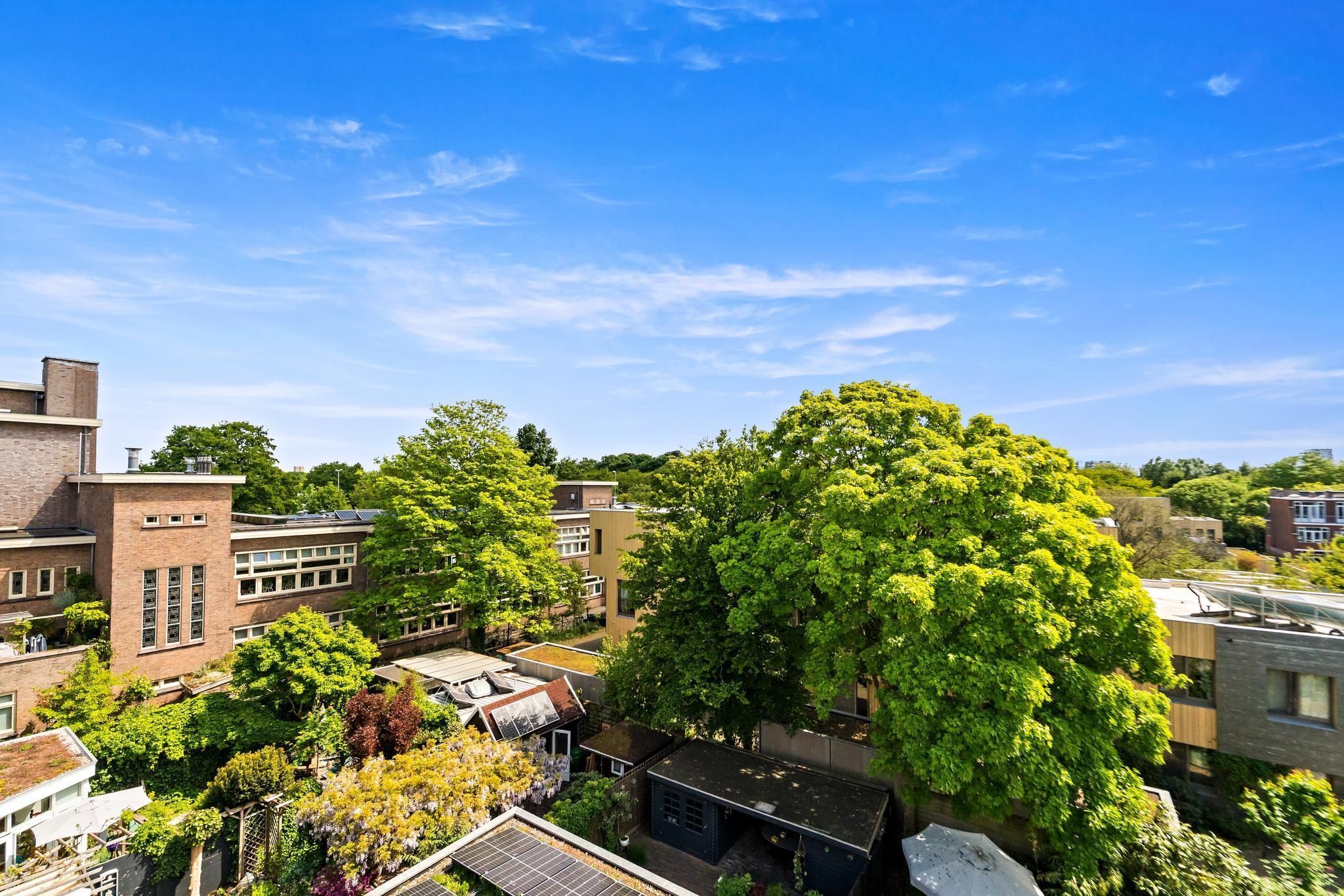 Vlierboomstraat 386 Photo Blur 13