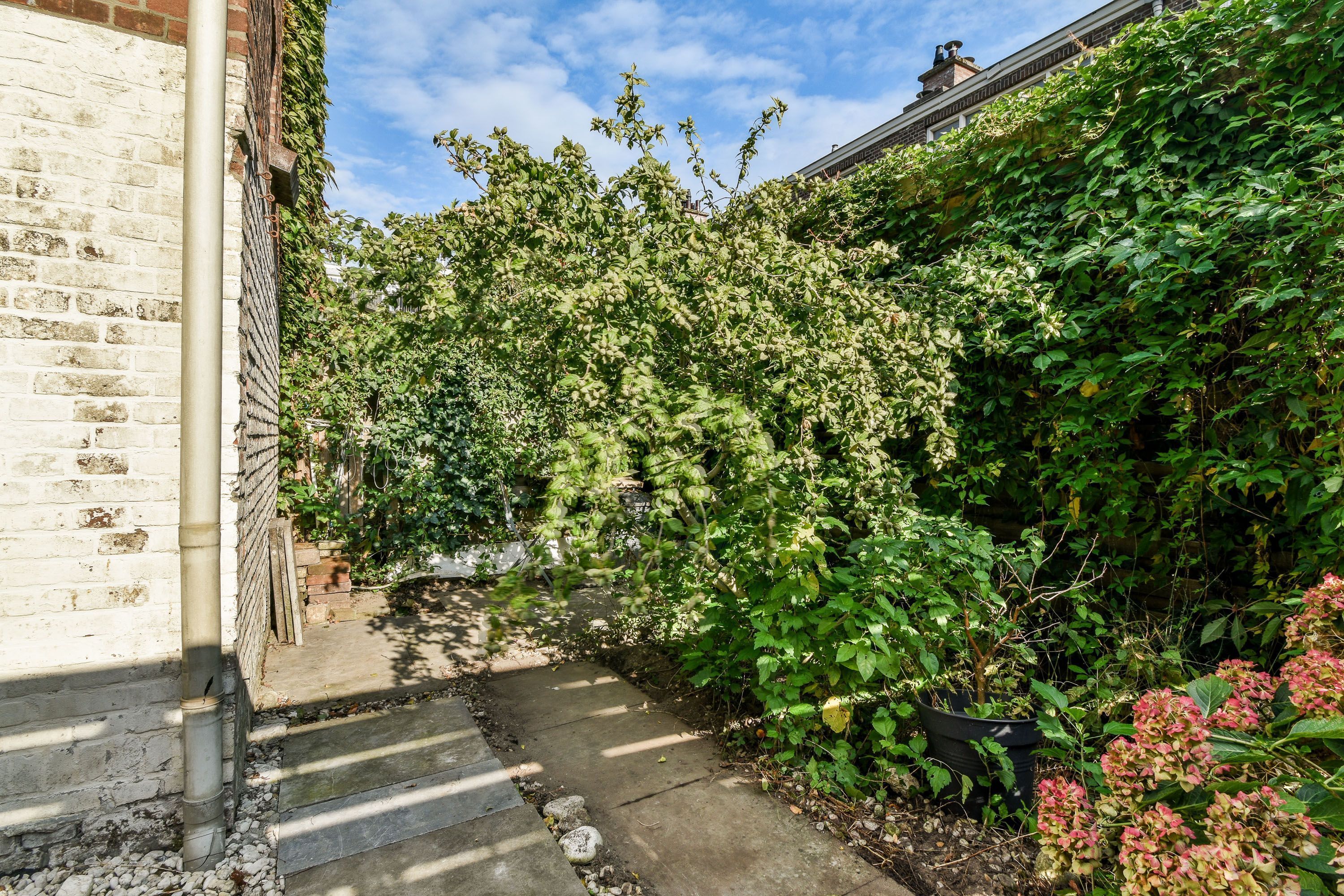 Johannes Camphuijsstraat 180 Photo Blur 13