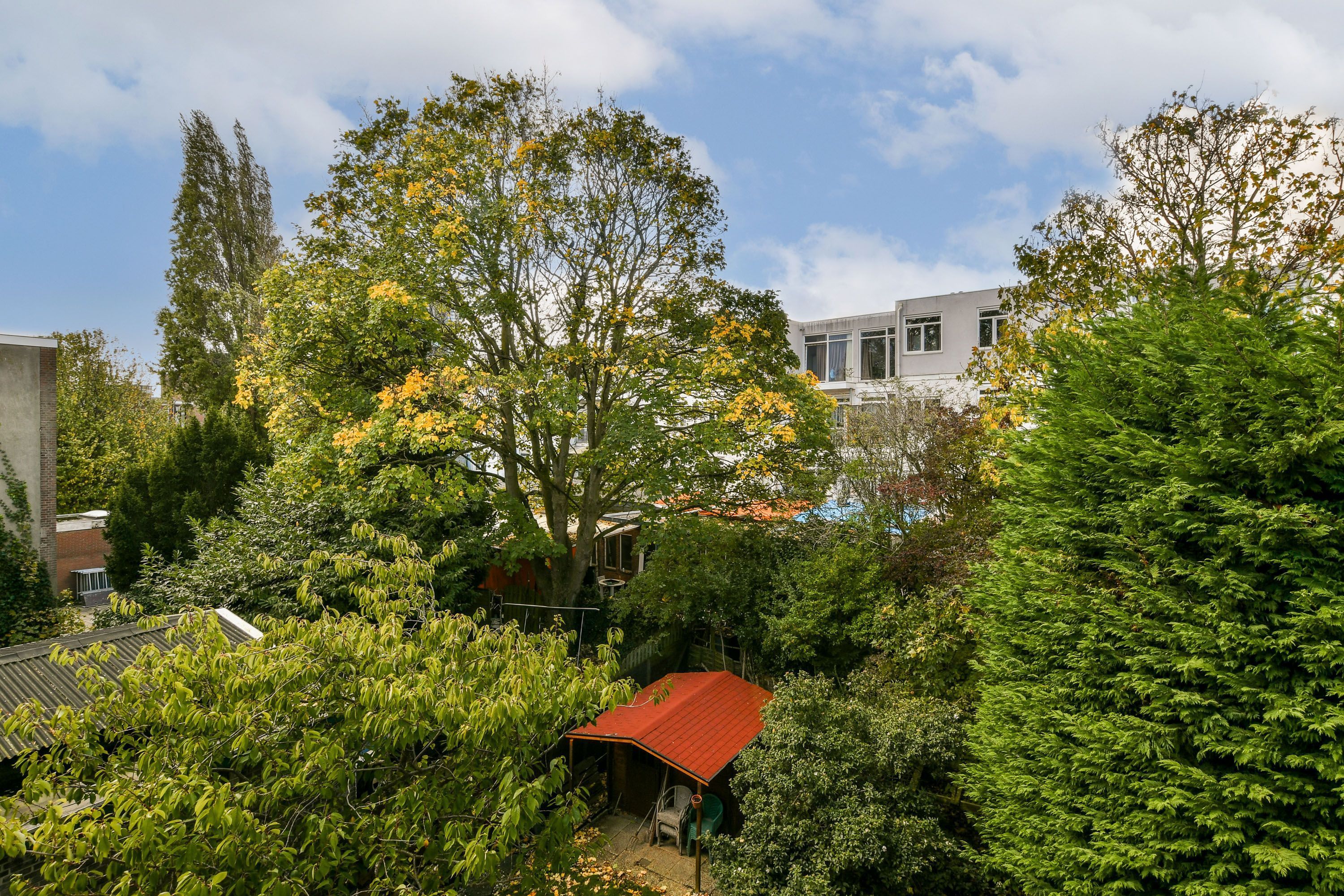 Lekstraat 197 Photo Blur 11