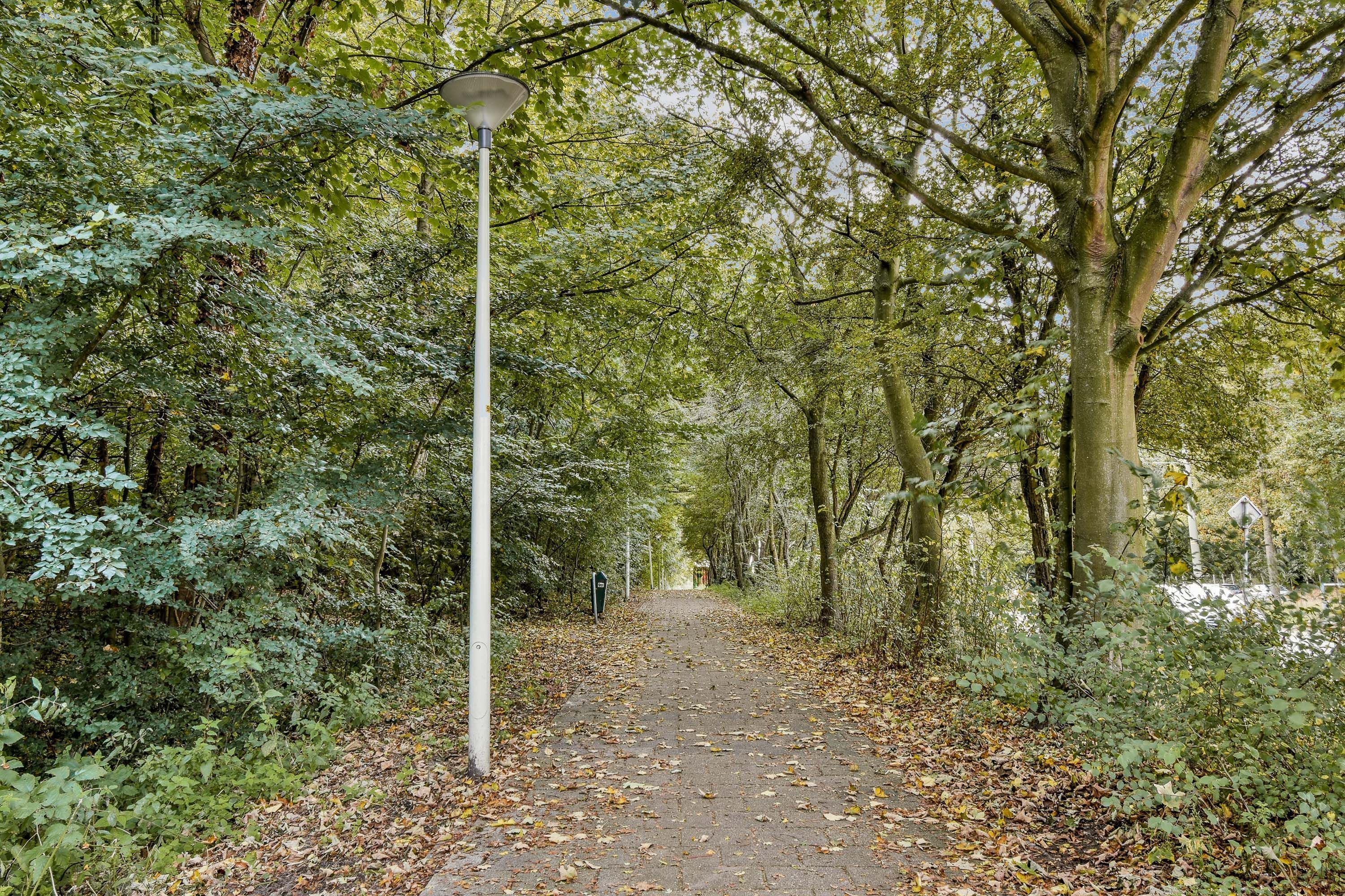 Palestrinaweg 10 Photo Blur 28