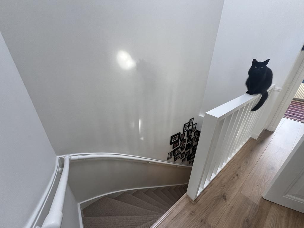 Van Slingelandtstraat 126 Photo Blur 22