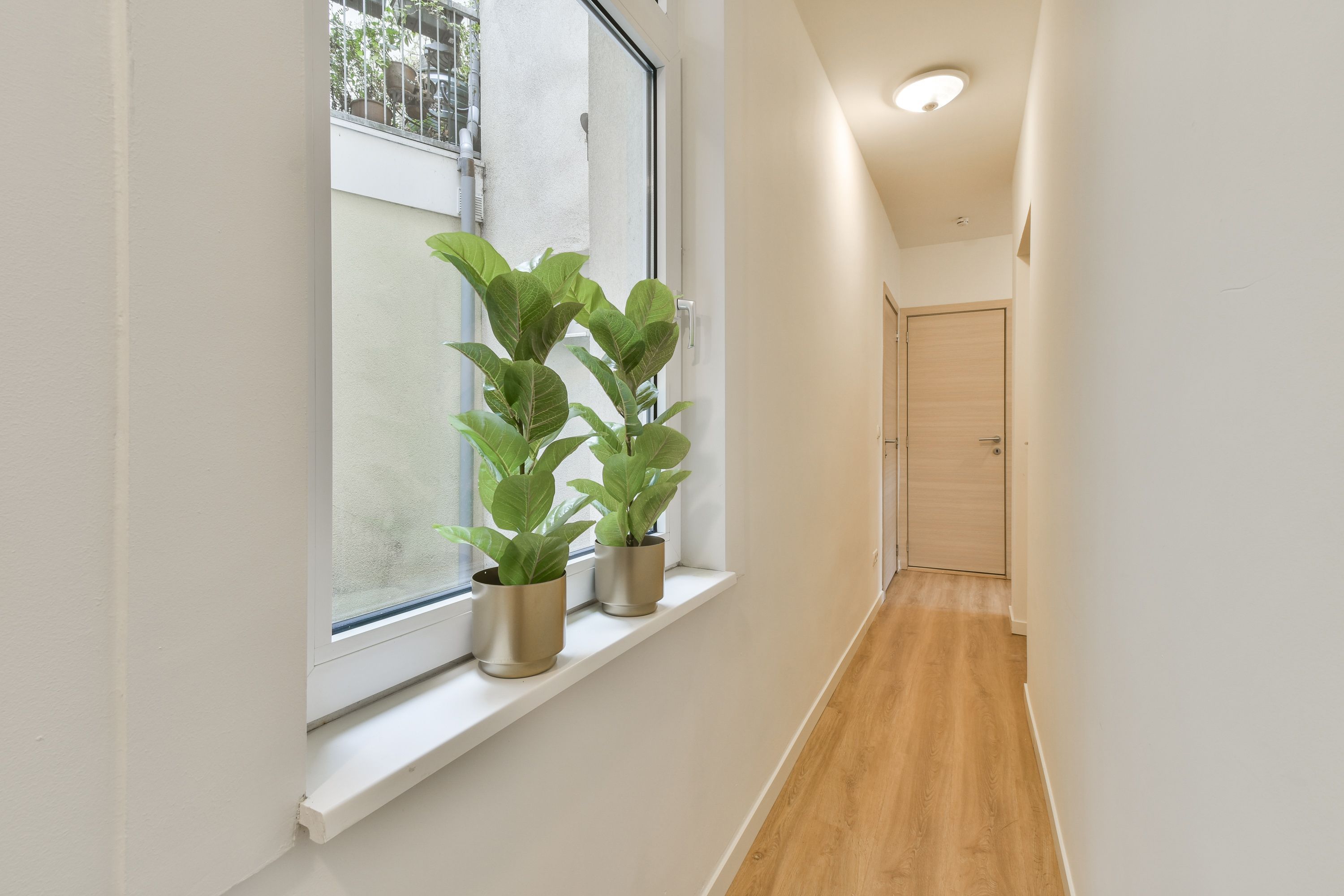 Middelburgsestraat 26 Photo Blur 11