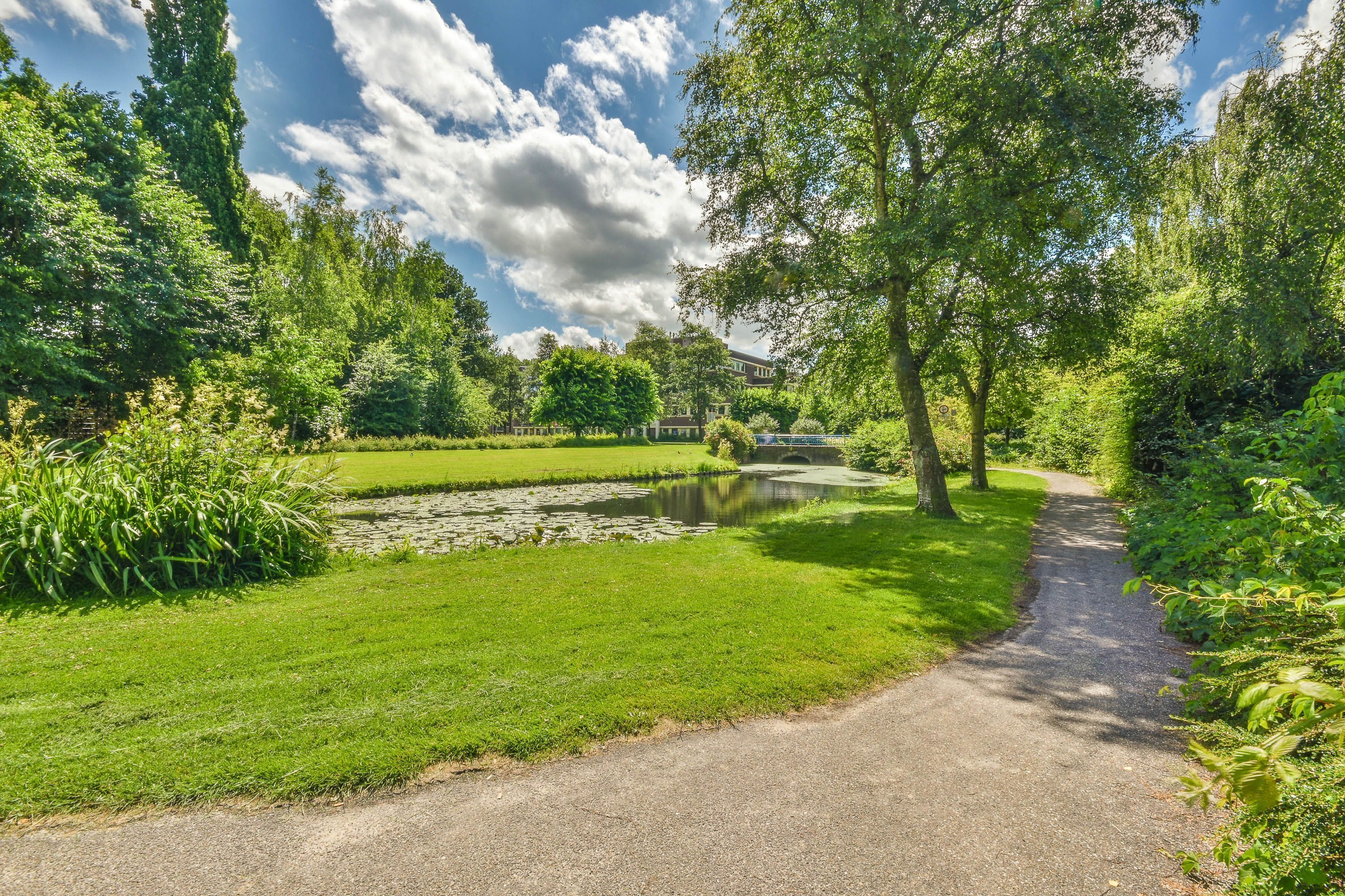 Frans Halslaan 30 Photo Blur 27