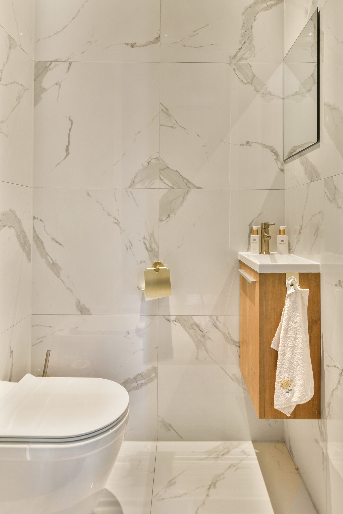 Frans Halslaan 30 Photo Blur 6