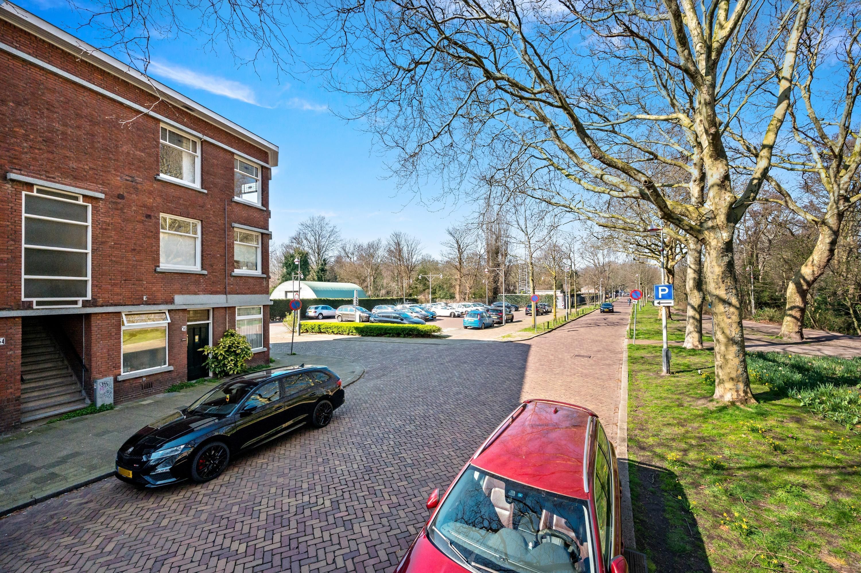 Laan van Eik en Duinen 32 Photo Blur 26