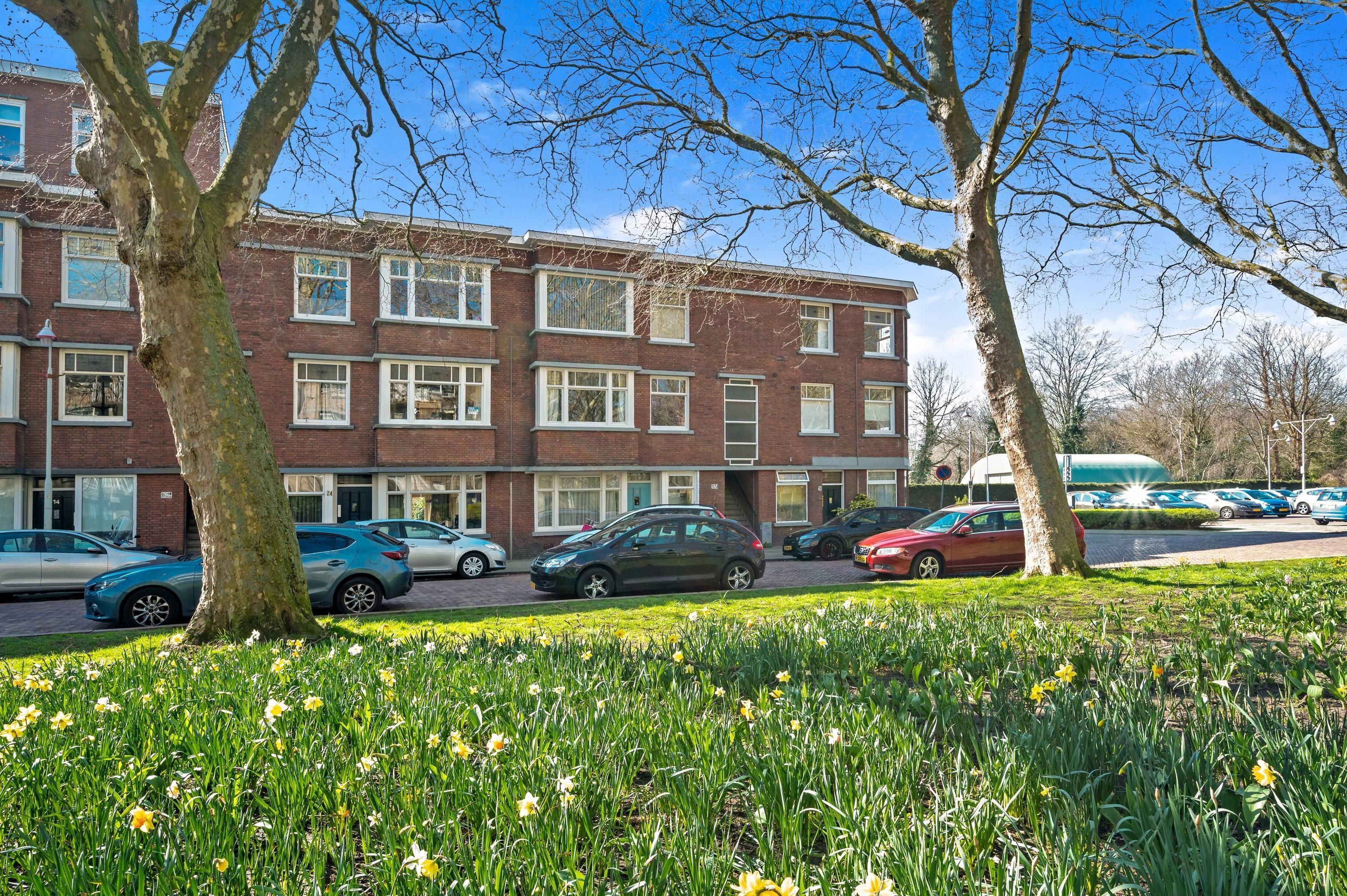 Laan van Eik en Duinen 32 Photo Blur 23