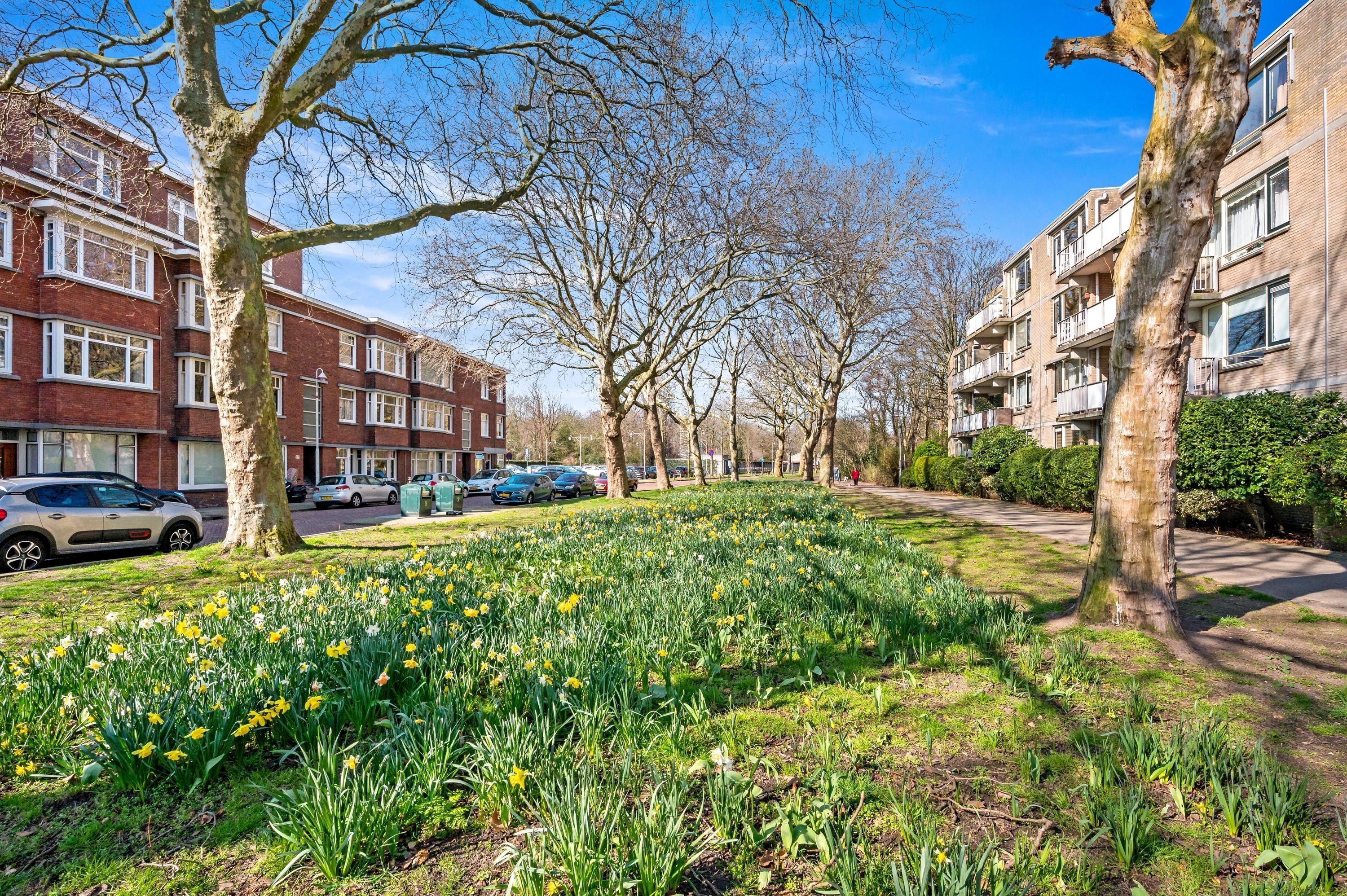 Laan van Eik en Duinen 32 Photo Blur 29