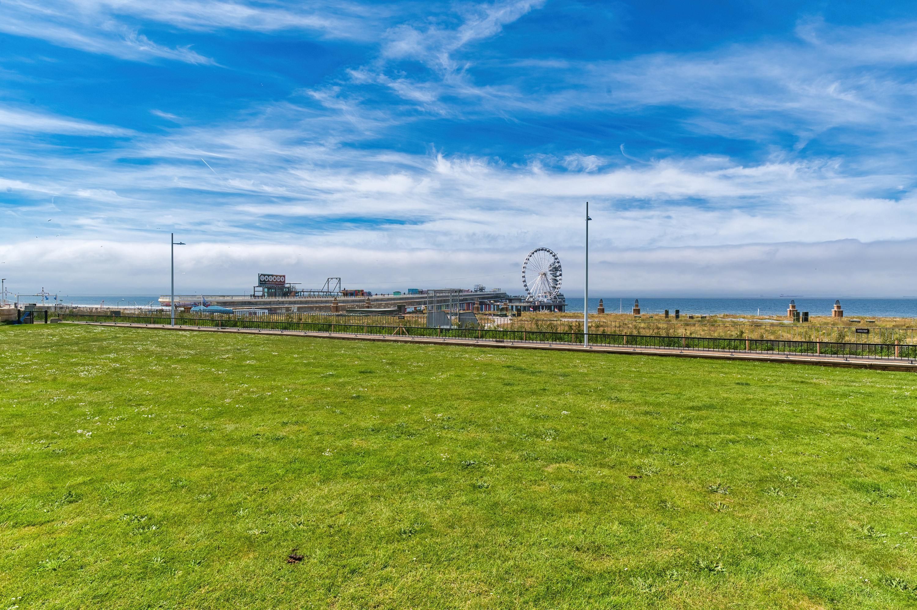 Zeekant 97 Photo Blur 3