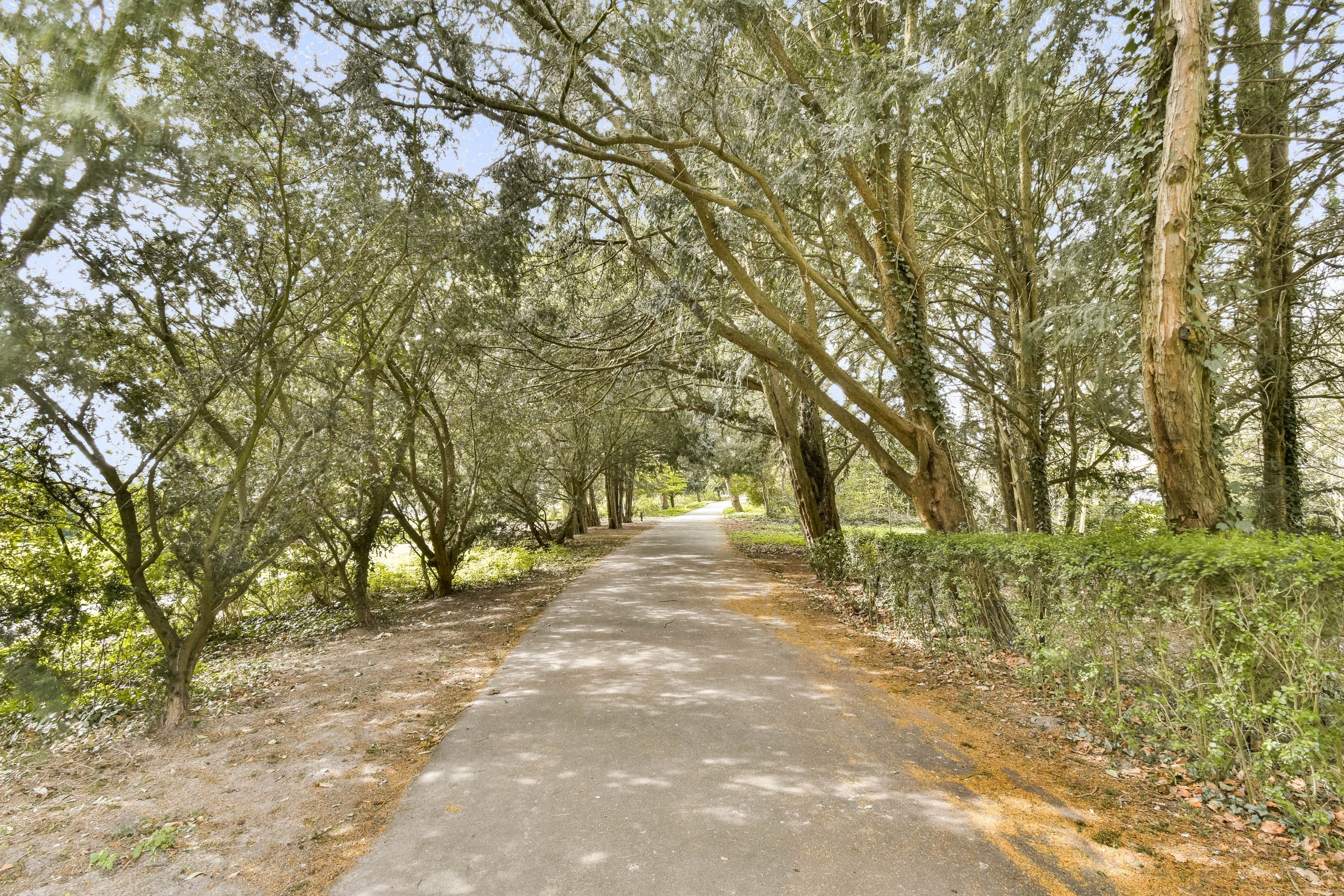 Nunspeetlaan 335 Photo Blur 19