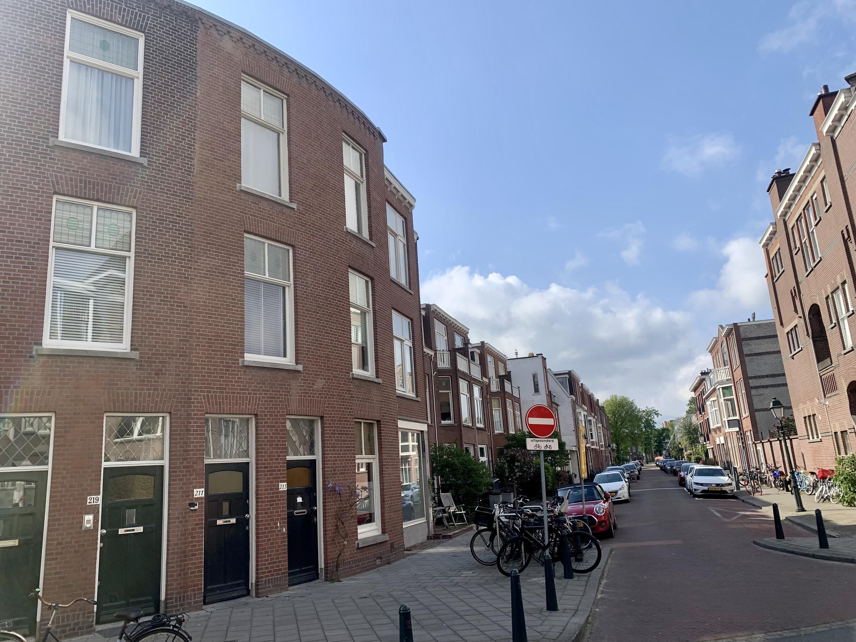 Van Aerssenstraat 217 Photo Blur 0