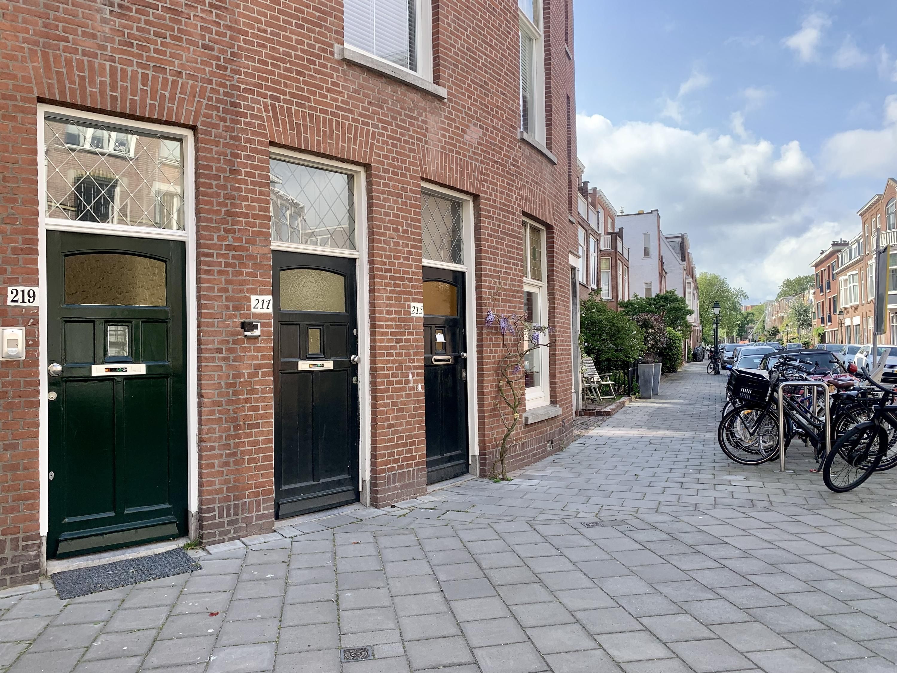 Van Aerssenstraat 217 Photo Blur 4