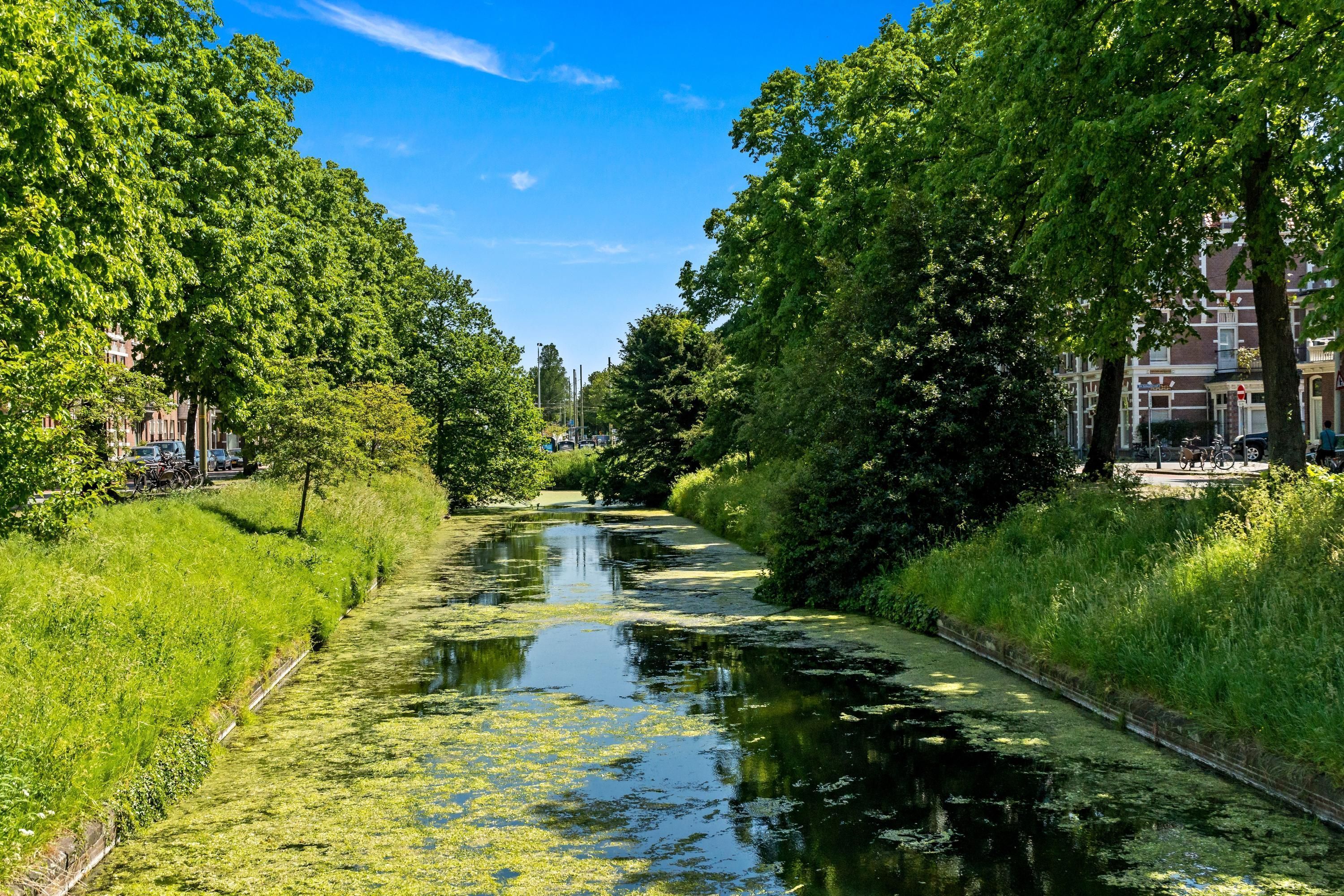 Waldeck Pyrmontkade 885 Photo Blur 42