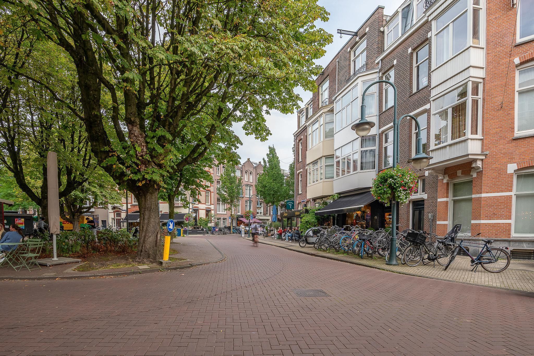 Johannes Verhulststraat 131-B Photo Blur 31