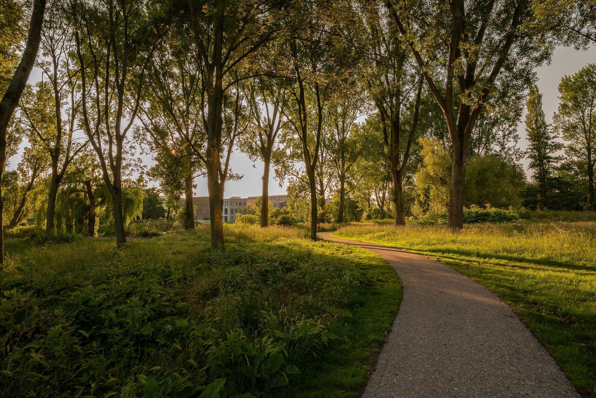 Cornelis van Vugtstraat 6 Photo Blur 48