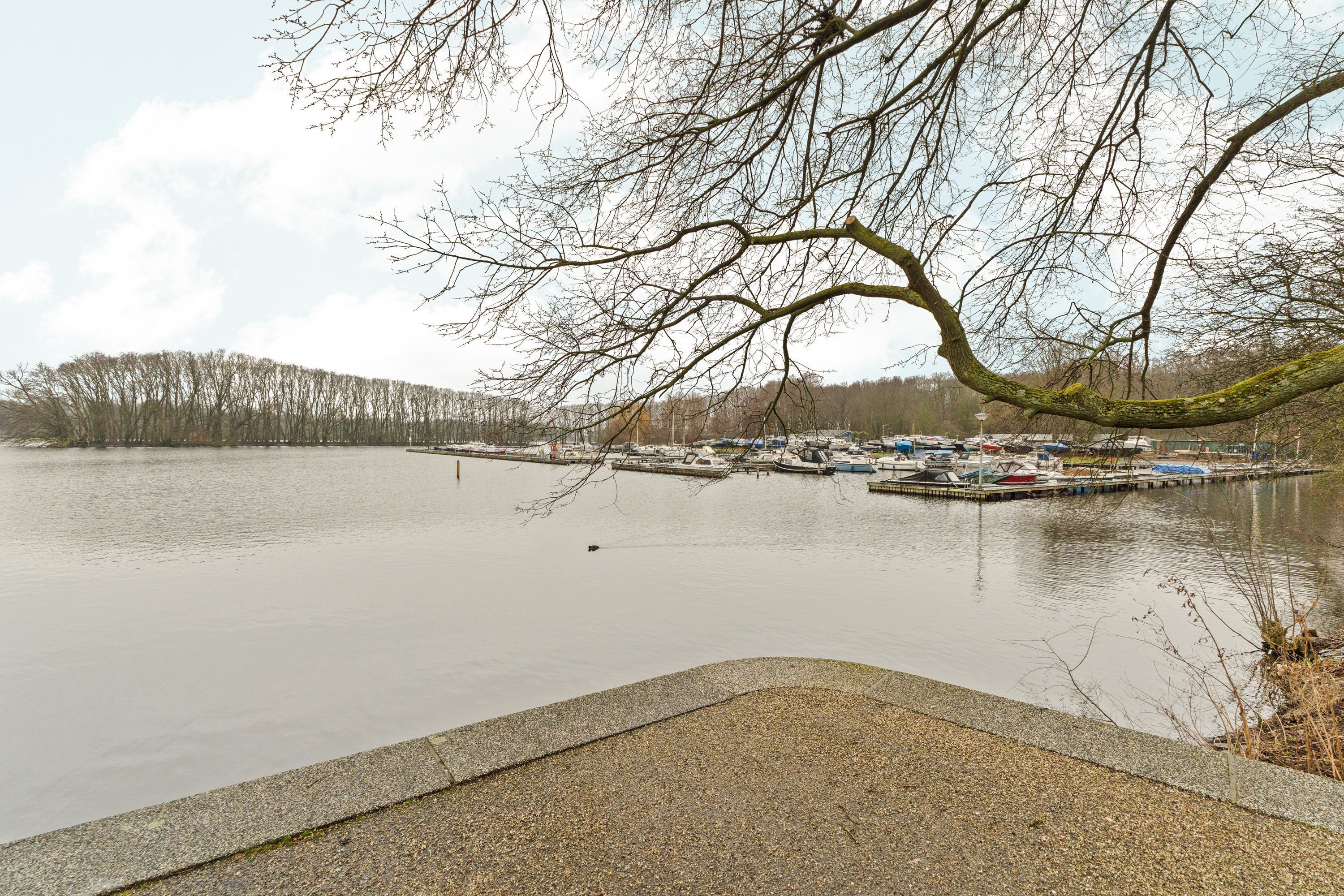 Eastonstraat 87 Photo Blur 33