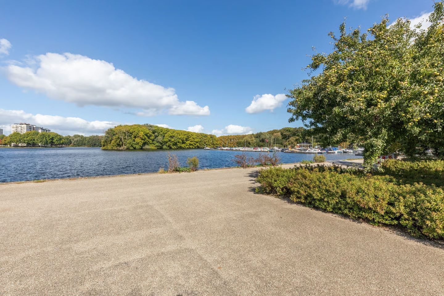 Eastonstraat 87 Photo Blur 32